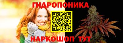 apvp Ипатово