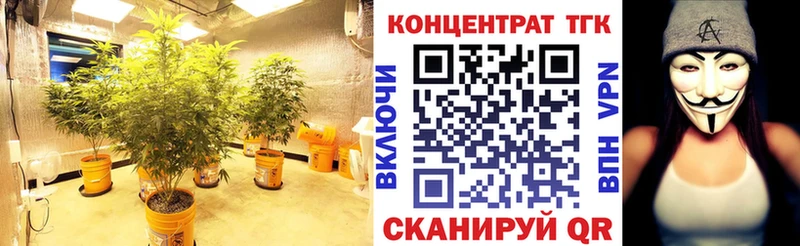 ТГК вейп Моздок