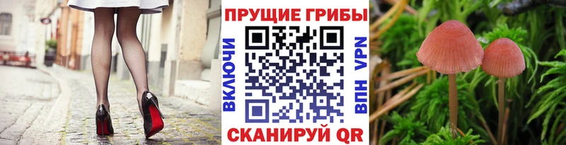 Галлюциногенные грибы ЛСД  Моздок 