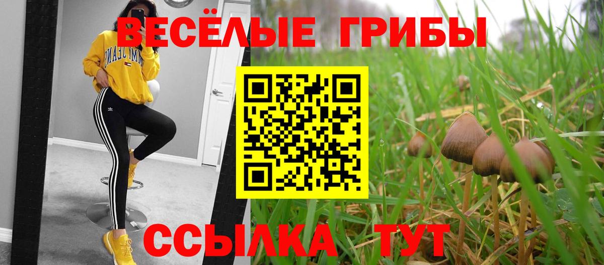 Галлюциногенные грибы GOLDEN TEACHER Моздок